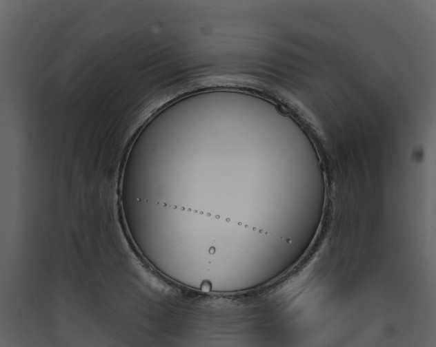 X0000090421033200707130942