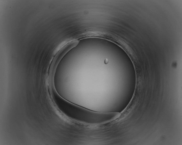 X0000090421034200707130942