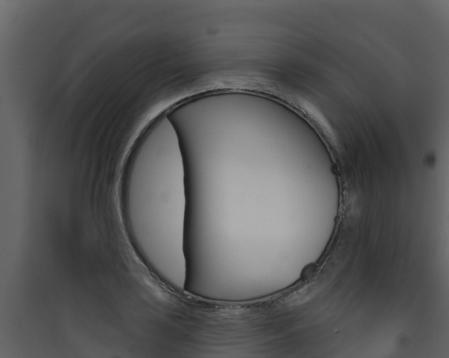 X0000090421035200707130942