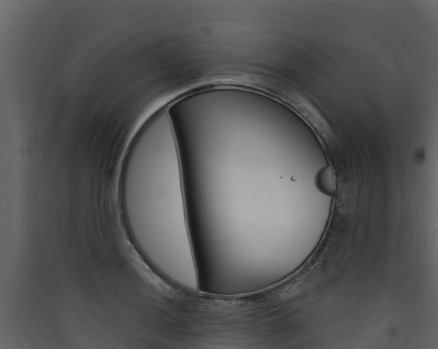 X0000090421036200707130942