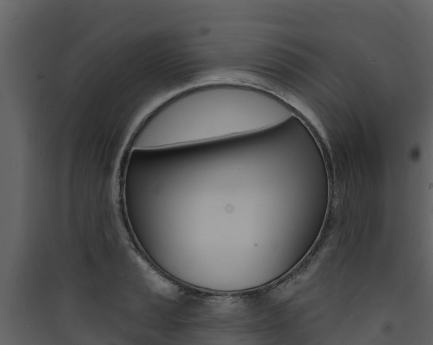 X0000090421037200707130942