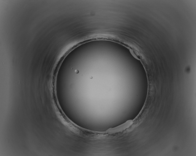 X0000090421038200707130942
