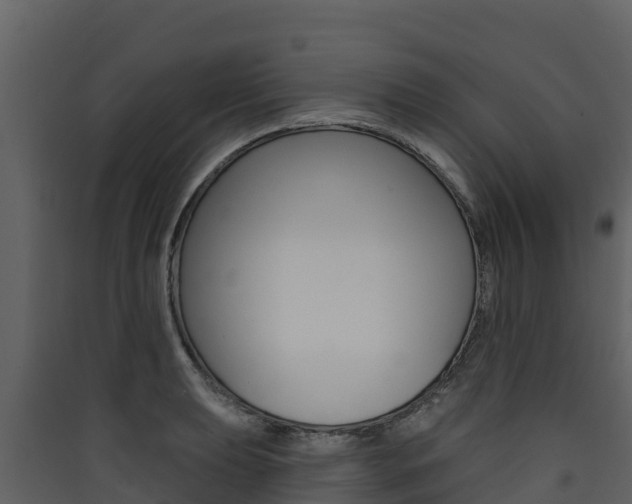 X0000090421039200707130942