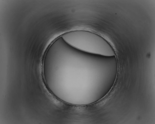 X0000090421040200707130942