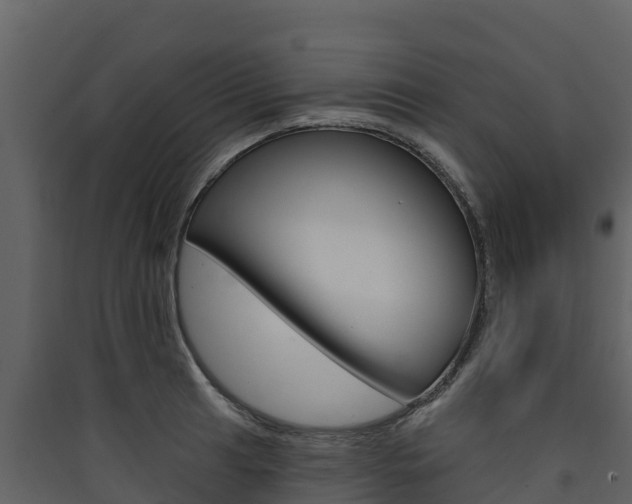 X0000090421041200707130942