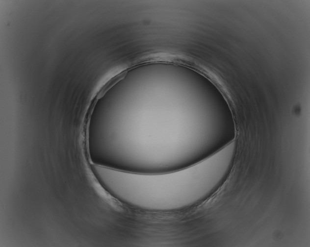 X0000090421042200707130942