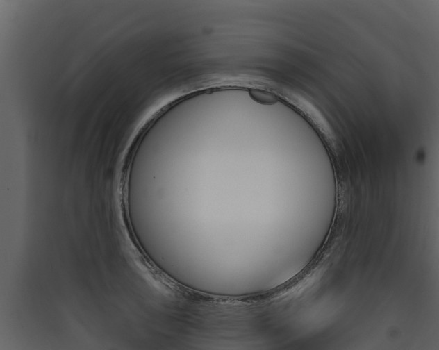 X0000090421043200707130942