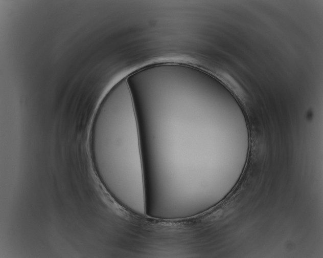 X0000090421044200707130942