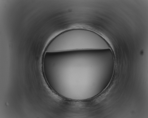 X0000090421045200707130942