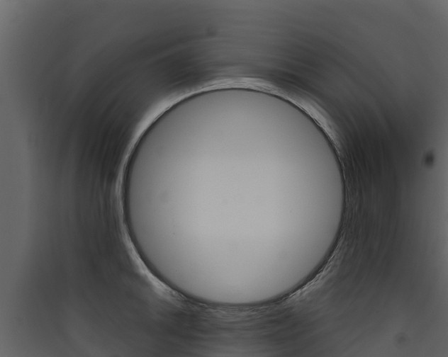 X0000090421046200707130942