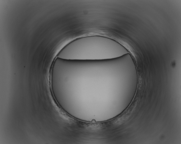 X0000090421047200707130942