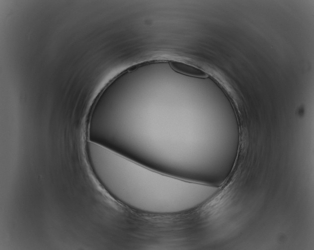 X0000090421048200707130942