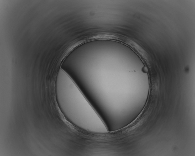 X0000090421049200707130942