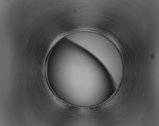 X0000090421050200707130942
