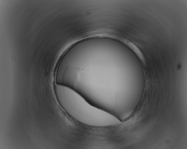 X0000090421051200707130942
