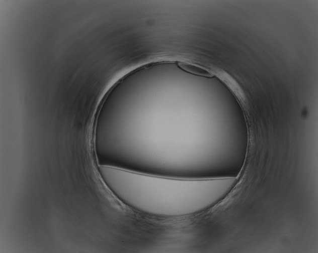 X0000090421052200707130942