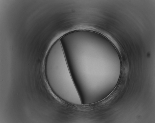 X0000090421053200707130942