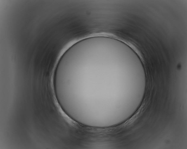 X0000090421054200707130942