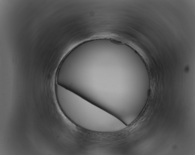 X0000090421055200707130942
