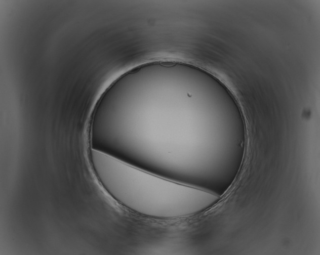 X0000090421056200707130942