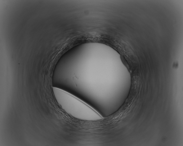 X0000090421057200707130942