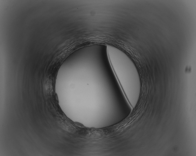 X0000090421058200707130942