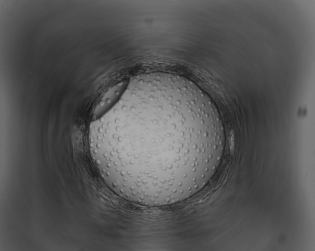 X0000090421059200707130942