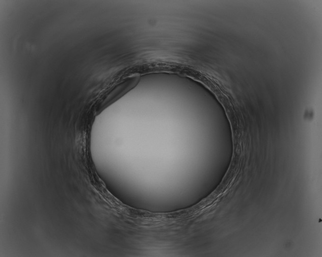 X0000090421061200707130942