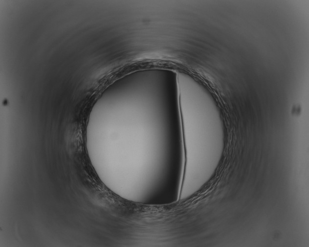 X0000090421062200707130942
