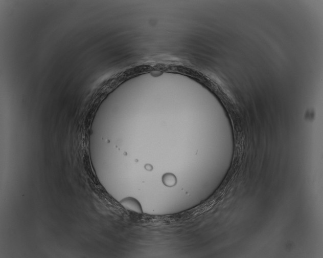 X0000090421063200707130942