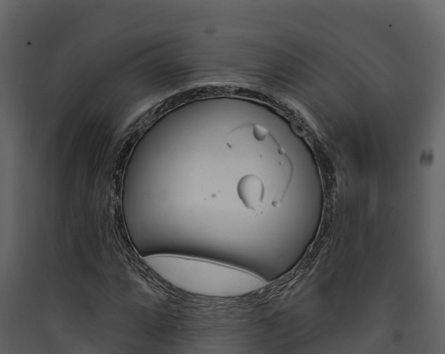 X0000090421064200707130942