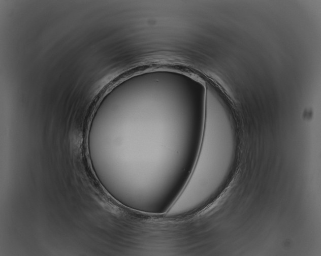 X0000090421065200707130942