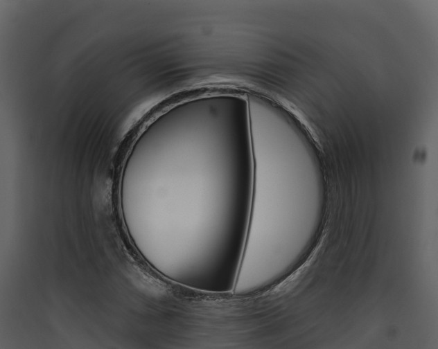 X0000090421066200707130942