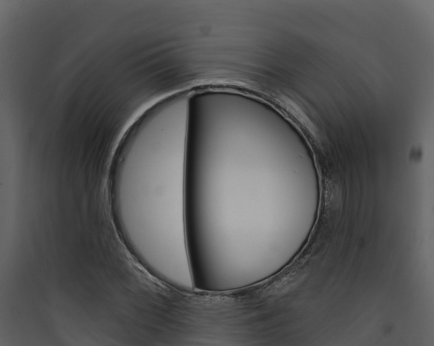 X0000090421068200707130942