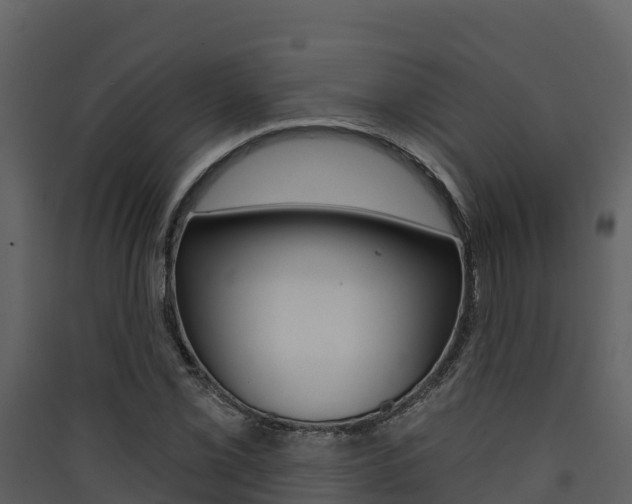 X0000090421069200707130942
