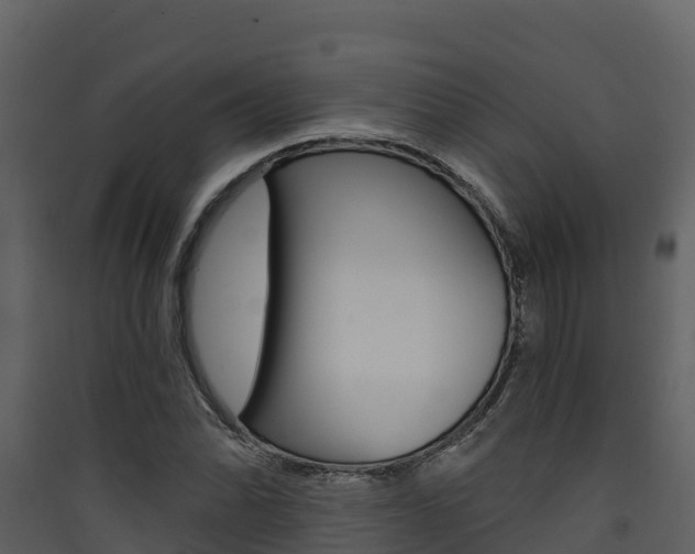 X0000090421070200707130942