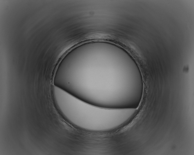 X0000090421073200707130942