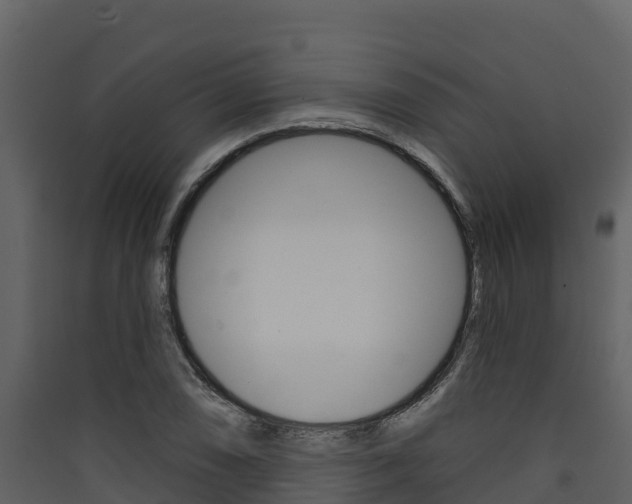 X0000090421074200707130942