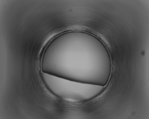 X0000090421075200707130941