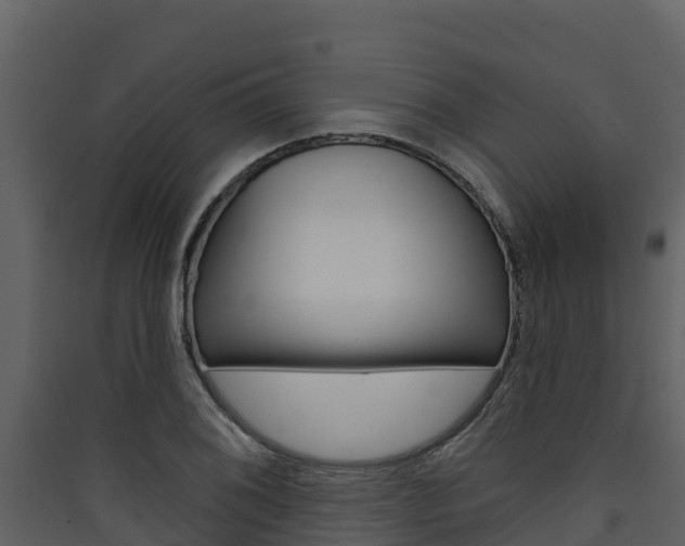 X0000090421076200707130941