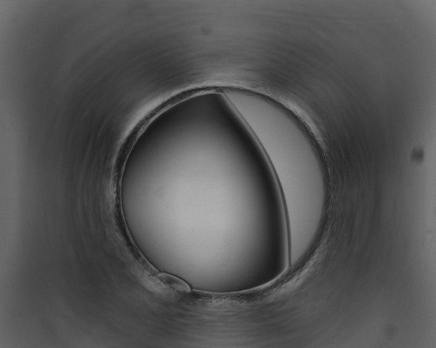 X0000090421077200707130941