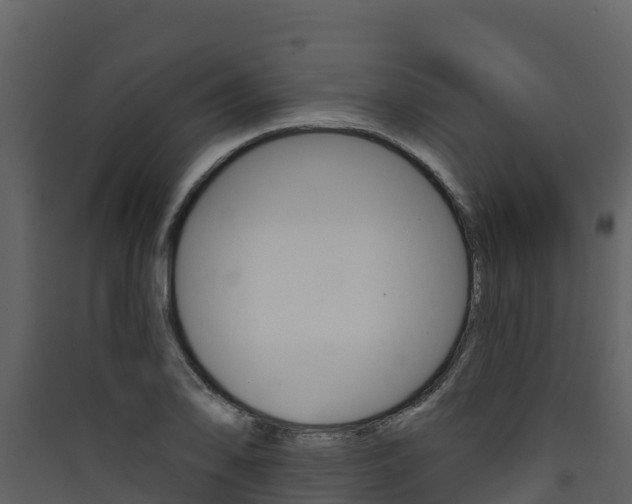 X0000090421078200707130941