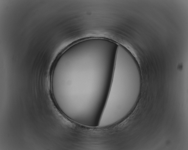 X0000090421080200707130941