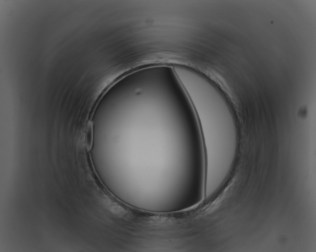 X0000090421081200707130941
