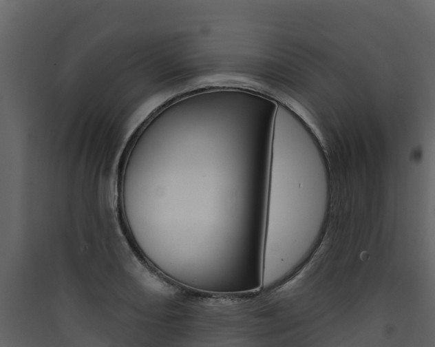 X0000090421082200707130941