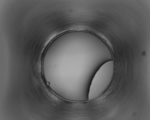 X0000090421083200707130941