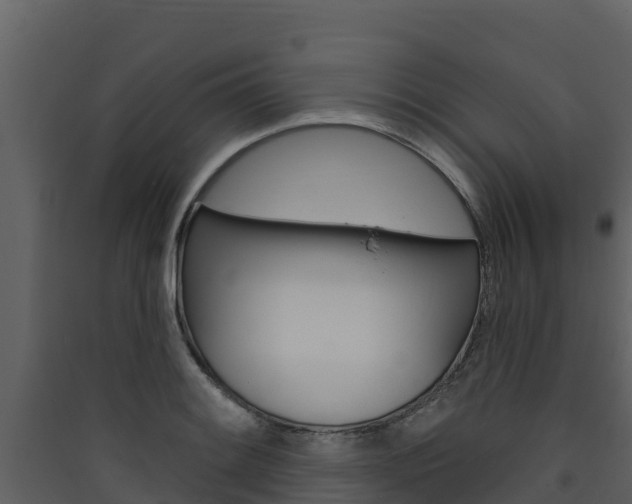 X0000090421084200707130941