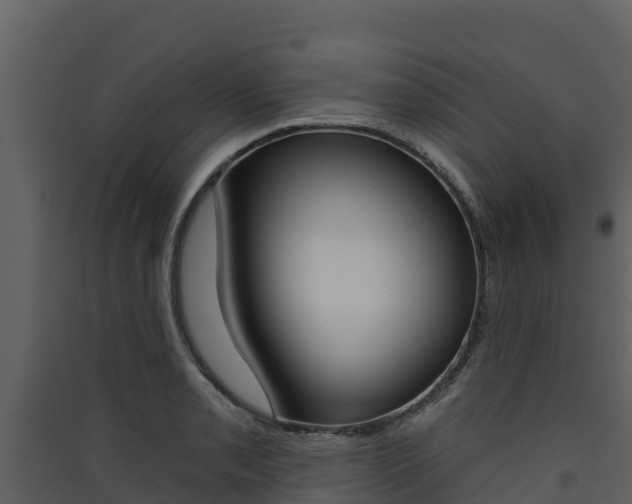 X0000090421085200707130941