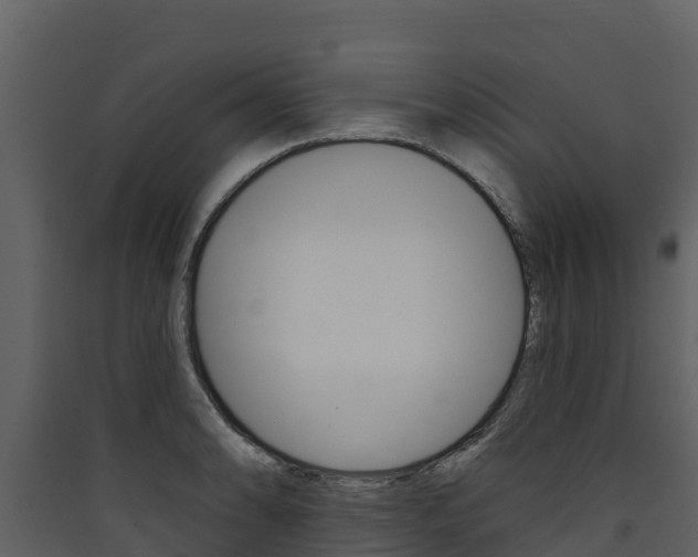 X0000090421086200707130941