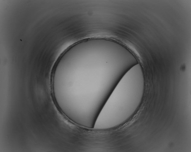 X0000090421087200707130941